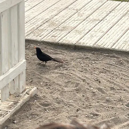 아파트 Piso Costa Malaga